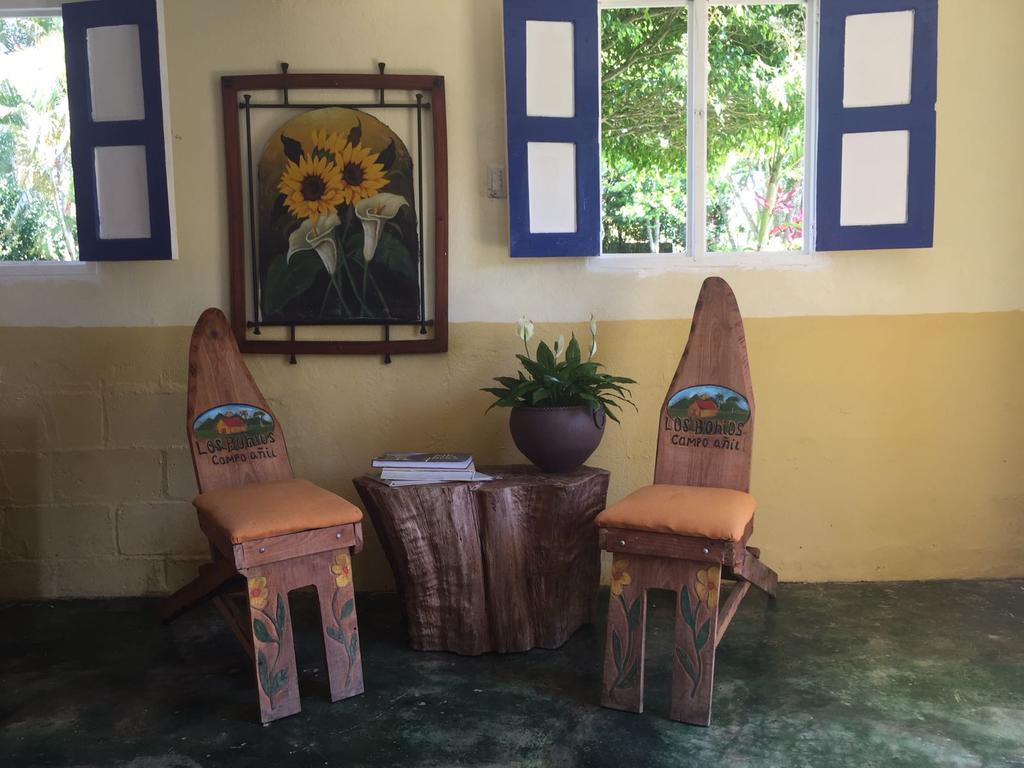 Los Bohios Campo Anil Jarabacoa Extérieur photo